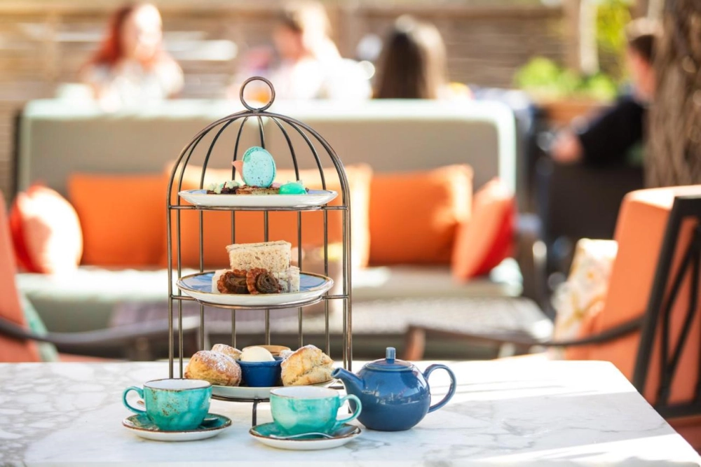 The Bird Bath - Hotel Photo 27