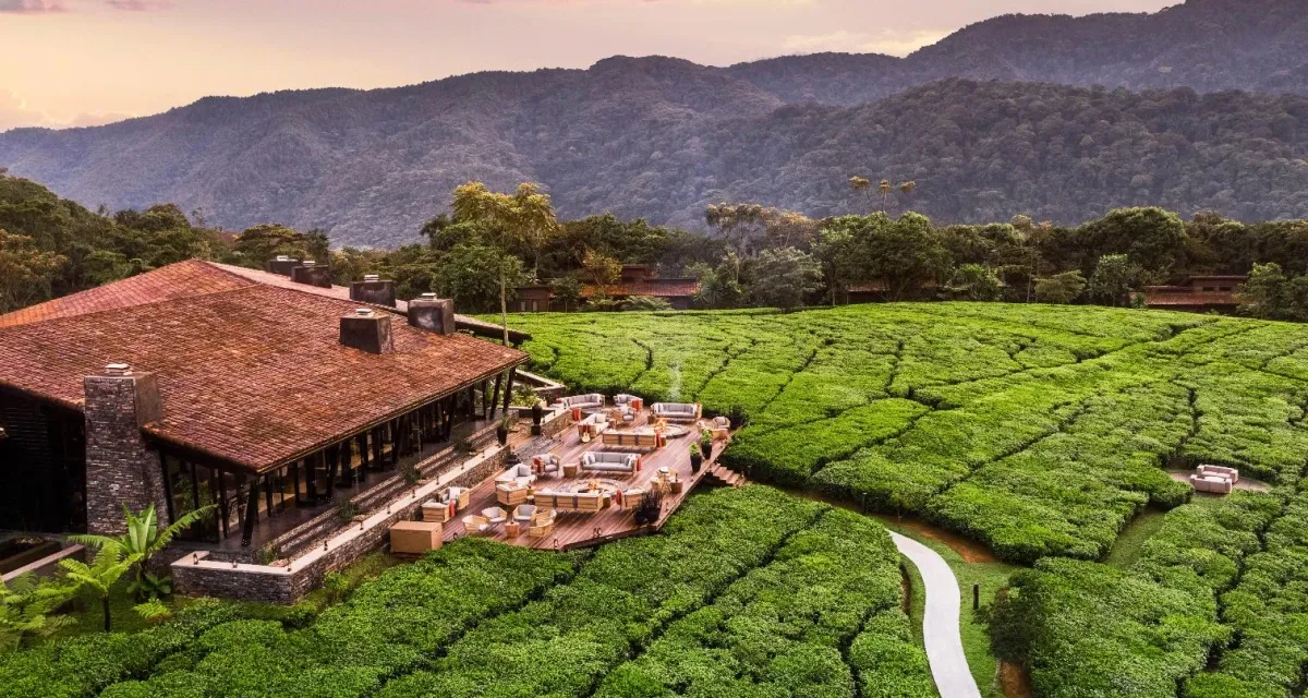 One&Only Nyungwe House