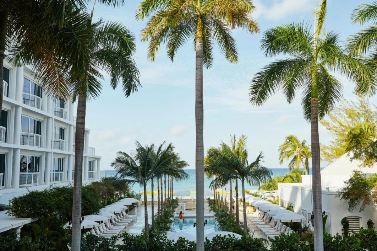 Palm Heights
