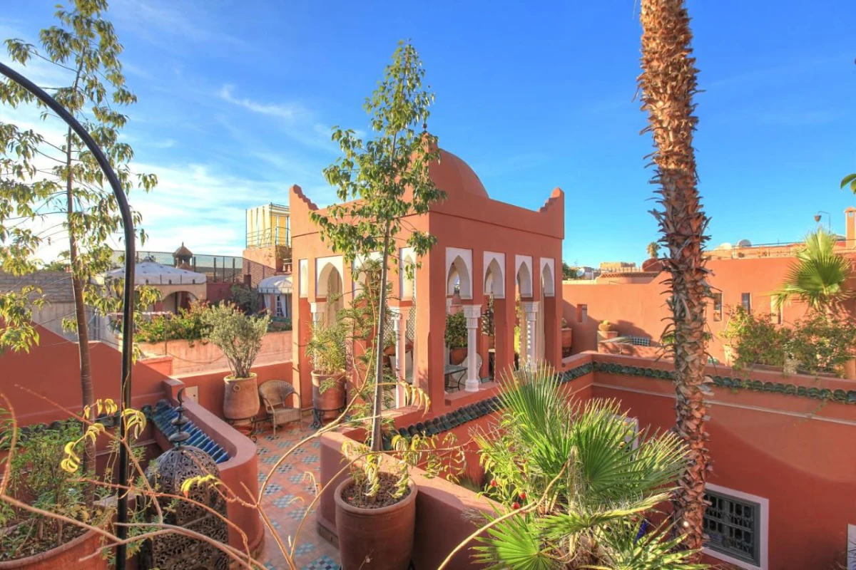 Riad Kaiss by Anika