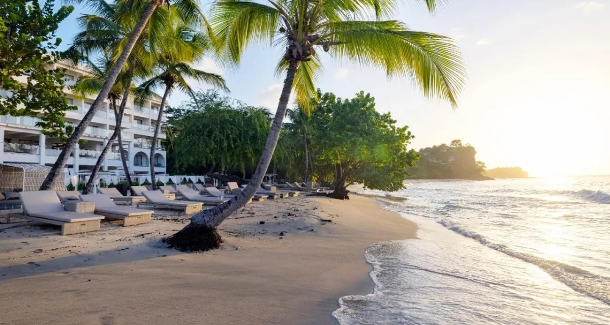 Royalton Grenada Autograph Collection