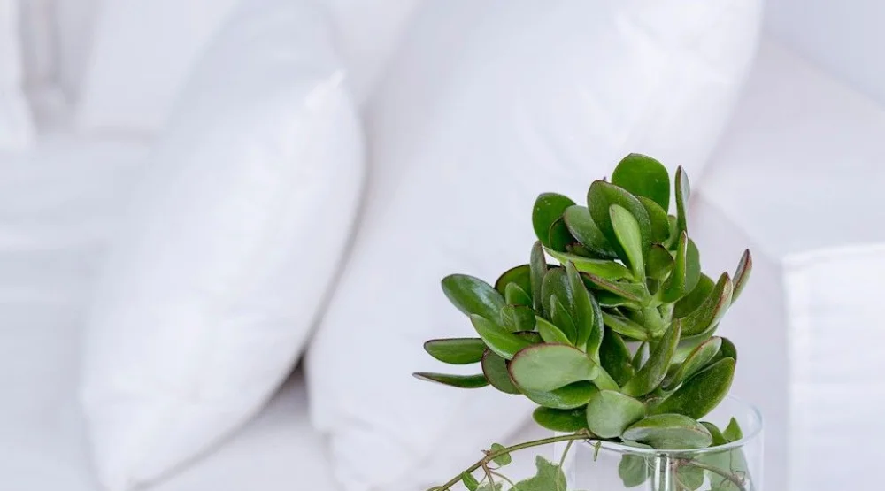 Classic Sea View Double Room at Pietra e Mare Hotel