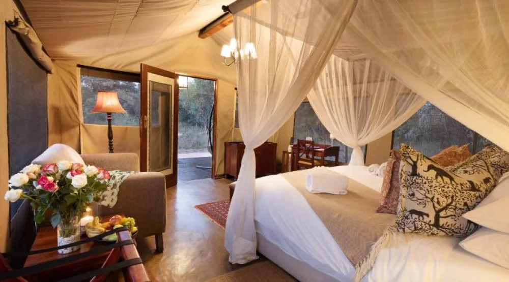 Safari Tent with Two Game Drives in Private Game Reserve at Safari Plains
