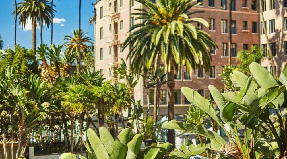 Fairmont King Room with Roll-in Shower - Mobility/hearing Accessible at Fairmont Miramar Hotel & Bungalows