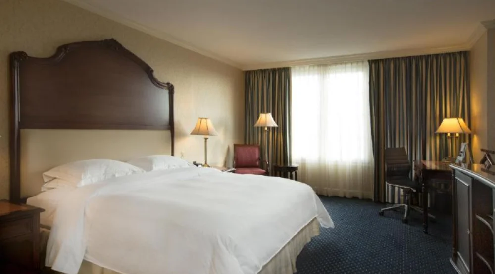 Premium Level King at Barcelo San Salvador