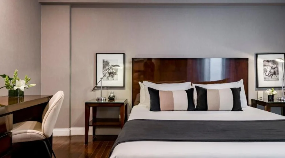 Luxury Suite at CasaSur Recoleta