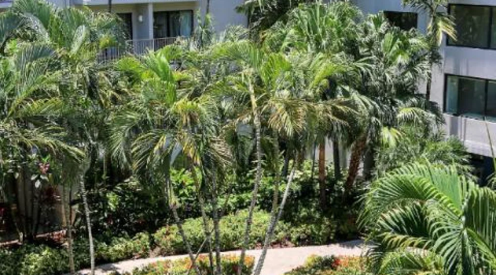 Courtyard View King, Guest Room, One King, Sofa Bed, Courtyard View, Balcony at Grand Cayman Marriott Resort