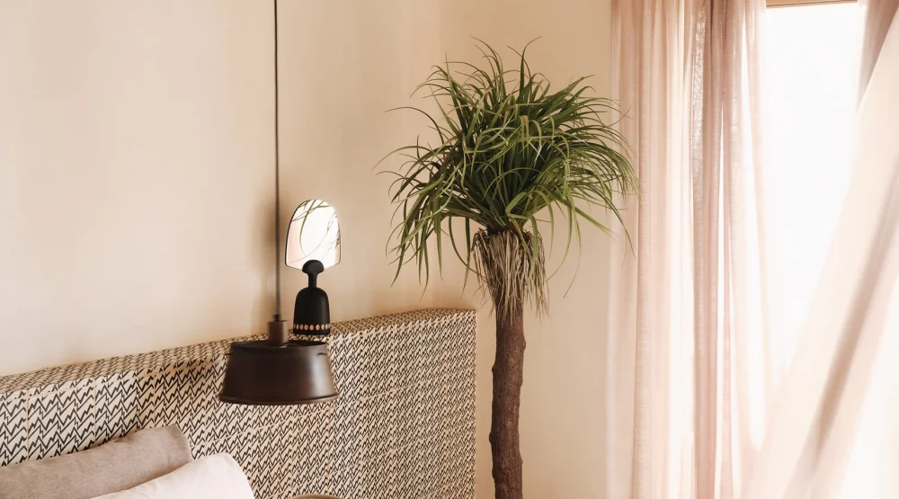 Junior Suite with Sea View at The Wild By Interni