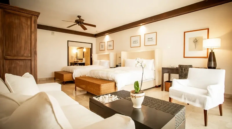 Junior Suite Tropical View at Casa Colonial Beach & Spa